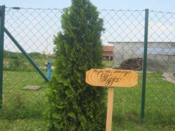 Ботаничка башта img_1943.jpg