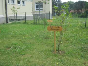 Ботаничка башта img_1948.jpg