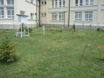 Ботаничка башта img_1980.jpg
